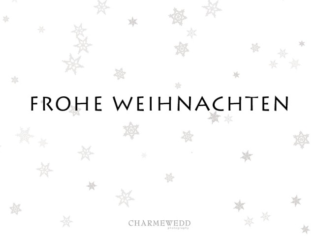 Frohe Weihnachten und guten Rutsch ins neue Jahr!!!