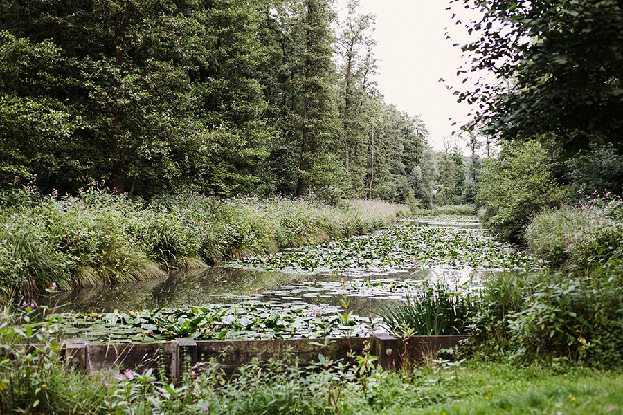 natur