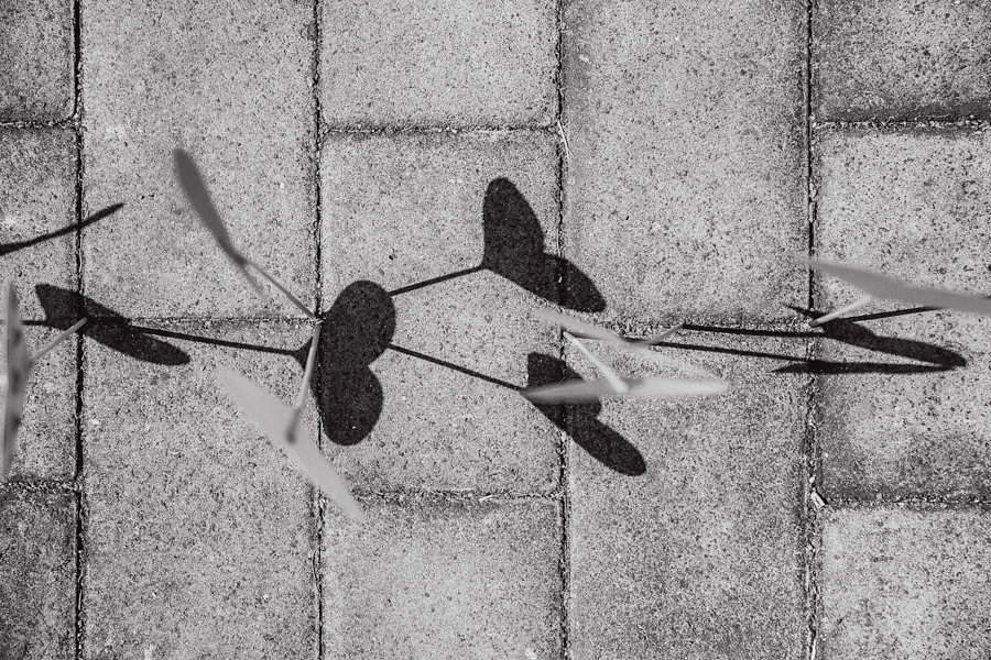 Herzen Schatten