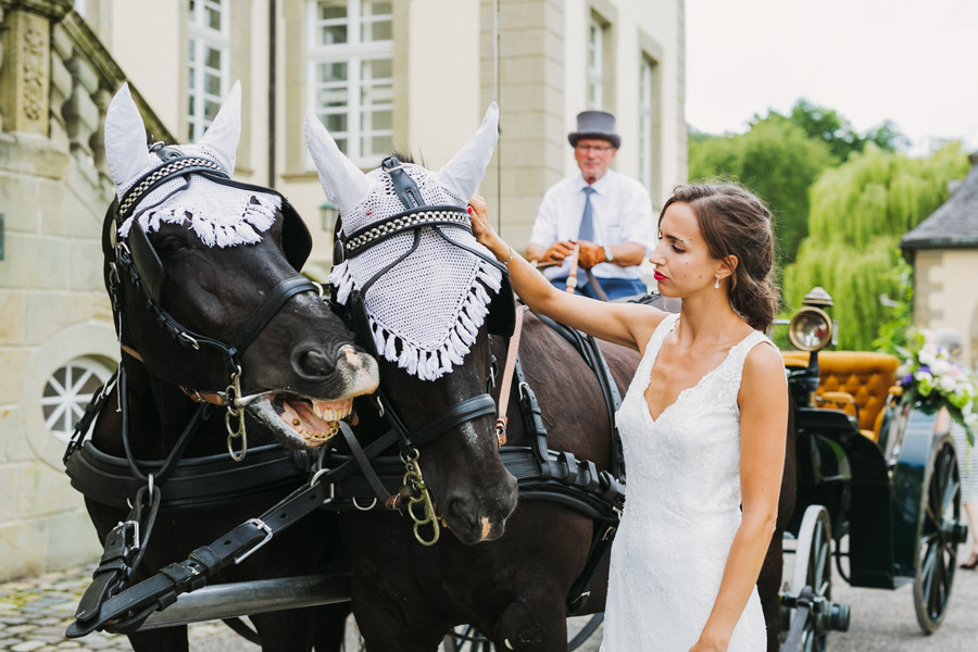 Hochzeit Schloss Pferde